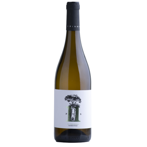11 Pinos Chardonnay (2023)  