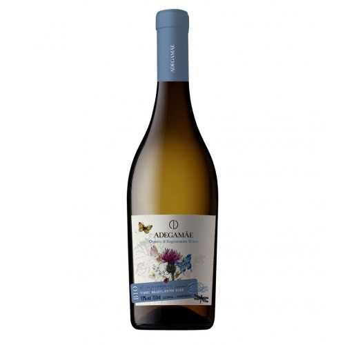 AdegaMae Branco Bio (2022) AdegaMae Branco Bio (2022)