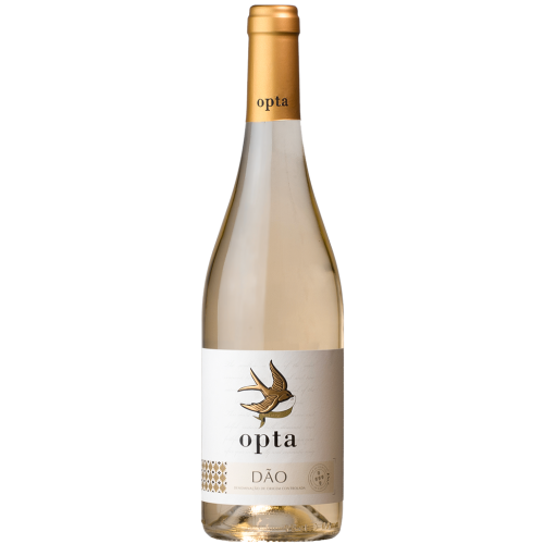 Opta Branco (2022) Opta Branco (2022)