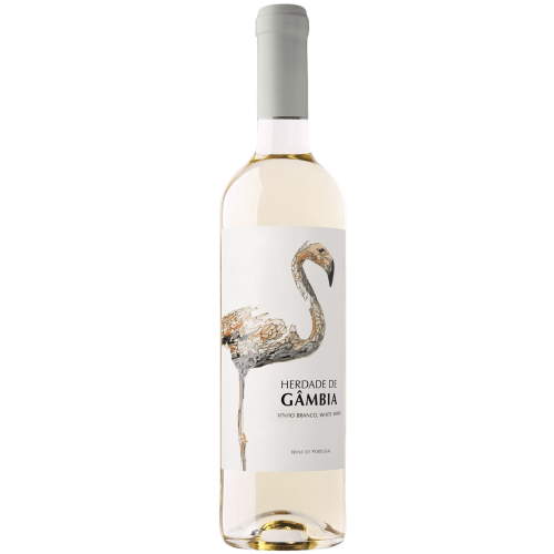 Herdade de Gambia Branco (2025)