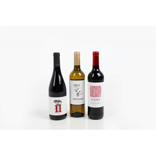 Discovery wine box Spanje